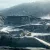 Top Lithium Mining Companies (2026 Data)