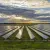 LONGi Hits 35.5% Certified Perovskite-Silicon Tandem Record