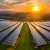 Druk Green, Hira Power Eye 500-MW Solar in Bhutan